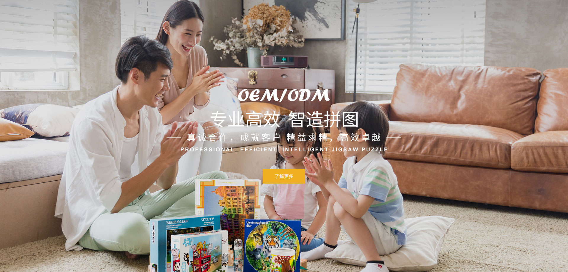  江门和谐拼图玩具品牌网站设计与seo优化排名案例
